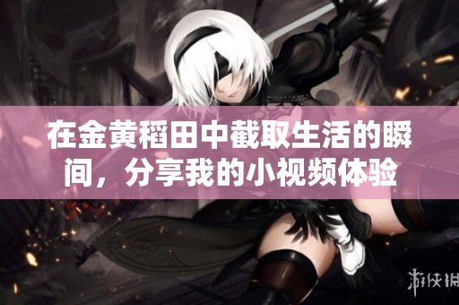 在金黄稻田中截取生活的瞬间，分享我的小视频体验