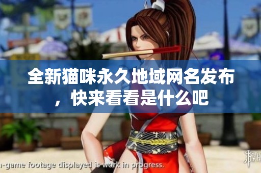 全新猫咪永久地域网名发布，快来看看是什么吧