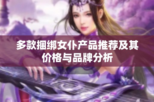 多款捆绑女仆产品推荐及其价格与品牌分析