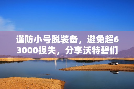 谨防小号脱装备，避免超63000损失，分享沃特碧们的经验与心得