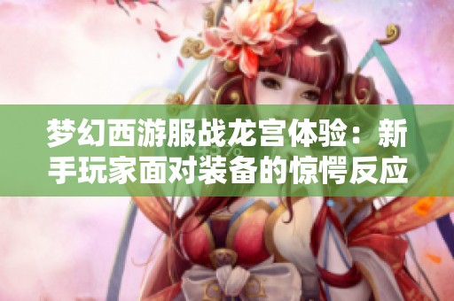 梦幻西游服战龙宫体验：新手玩家面对装备的惊愕反应