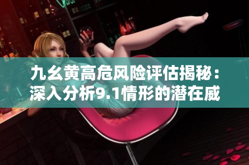 九幺黄高危风险评估揭秘：深入分析9.1情形的潜在威胁