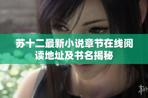 苏十二最新小说章节在线阅读地址及书名揭秘