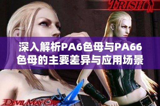 深入解析PA6色母与PA66色母的主要差异与应用场景