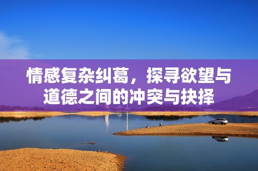 情感复杂纠葛，探寻欲望与道德之间的冲突与抉择