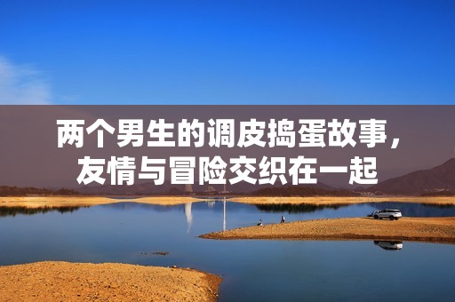 两个男生的调皮捣蛋故事，友情与冒险交织在一起