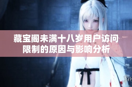 藏宝阁未满十八岁用户访问限制的原因与影响分析