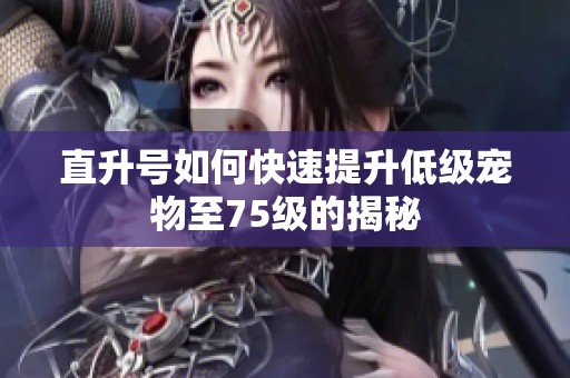 直升号如何快速提升低级宠物至75级的揭秘