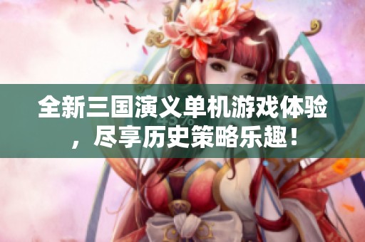 全新三国演义单机游戏体验，尽享历史策略乐趣！