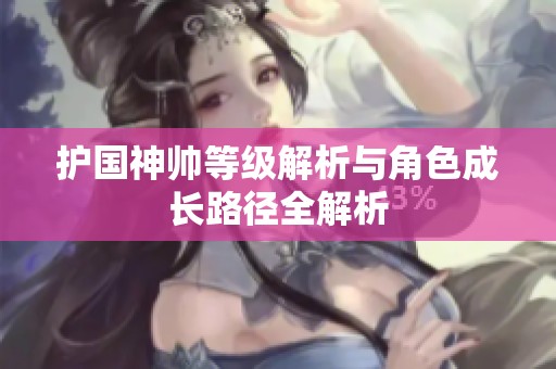 护国神帅等级解析与角色成长路径全解析