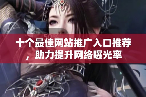 十个最佳网站推广入口推荐，助力提升网络曝光率