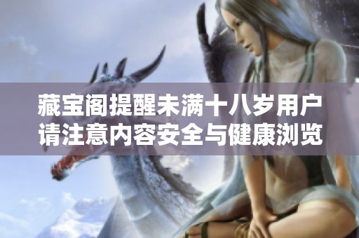 藏宝阁提醒未满十八岁用户请注意内容安全与健康浏览