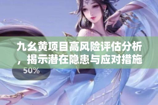 九幺黄项目高风险评估分析，揭示潜在隐患与应对措施
