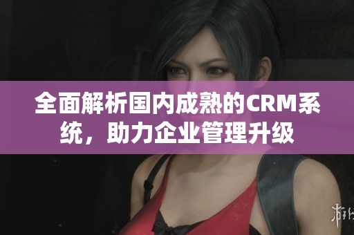 全面解析国内成熟的CRM系统，助力企业管理升级