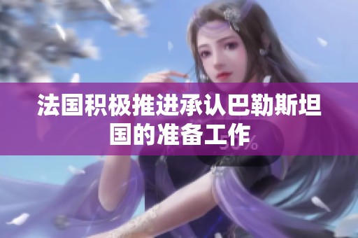 法国积极推进承认巴勒斯坦国的准备工作