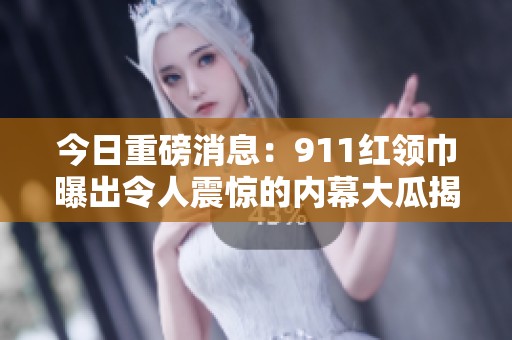 今日重磅消息：911红领巾曝出令人震惊的内幕大瓜揭秘