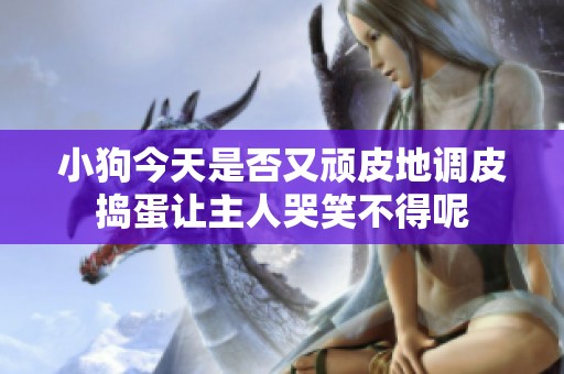小狗今天是否又顽皮地调皮捣蛋让主人哭笑不得呢