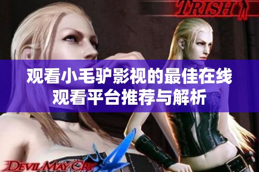 观看小毛驴影视的最佳在线观看平台推荐与解析