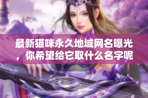 最新猫咪永久地域网名曝光，你希望给它取什么名字呢？