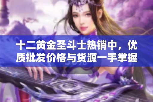 十二黄金圣斗士热销中，优质批发价格与货源一手掌握