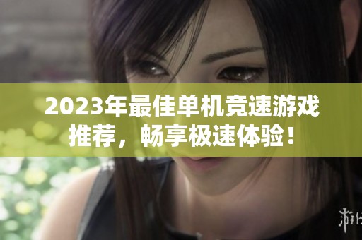 2023年最佳单机竞速游戏推荐，畅享极速体验！