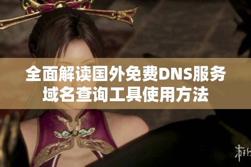 全面解读国外免费DNS服务域名查询工具使用方法