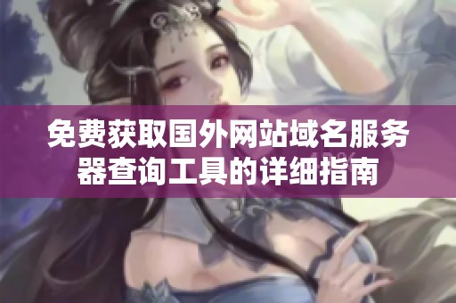 免费获取国外网站域名服务器查询工具的详细指南
