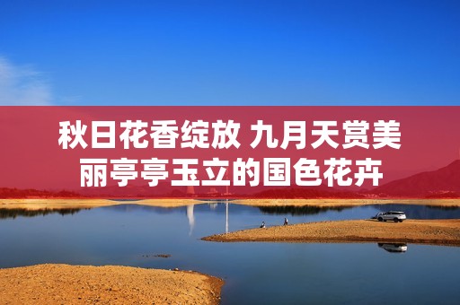 秋日花香绽放 九月天赏美丽亭亭玉立的国色花卉