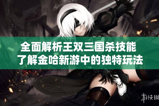全面解析王双三国杀技能 了解金哈新游中的独特玩法