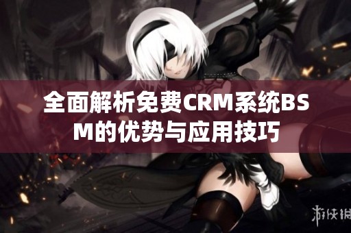 全面解析免费CRM系统BSM的优势与应用技巧