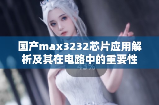 国产max3232芯片应用解析及其在电路中的重要性