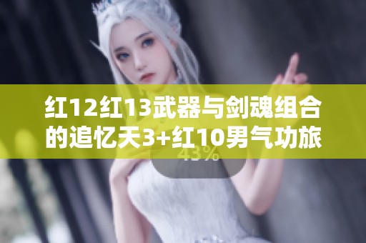 红12红13武器与剑魂组合的追忆天3+红10男气功旅全面解析
