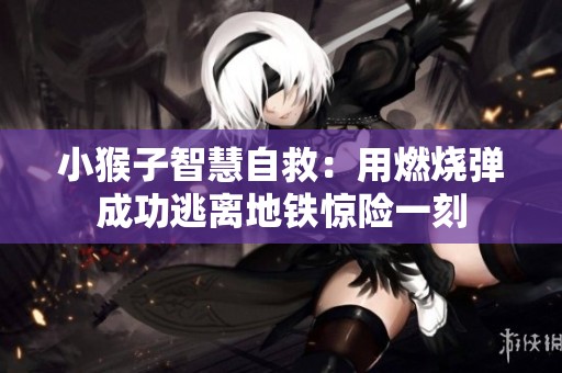 小猴子智慧自救：用燃烧弹成功逃离地铁惊险一刻