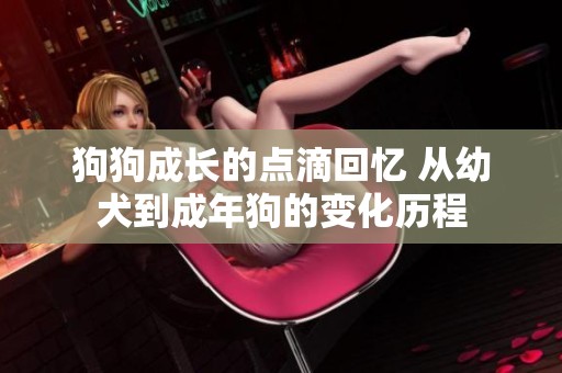 狗狗成长的点滴回忆 从幼犬到成年狗的变化历程
