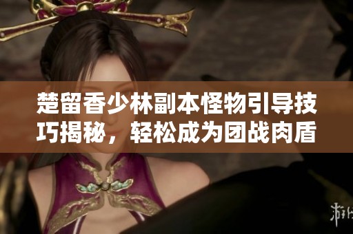 楚留香少林副本怪物引导技巧揭秘，轻松成为团战肉盾