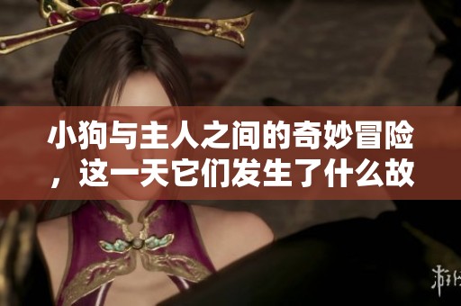 小狗与主人之间的奇妙冒险，这一天它们发生了什么故事