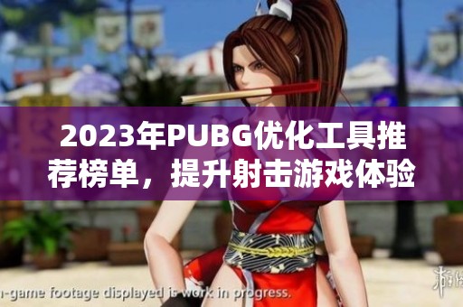 2023年PUBG优化工具推荐榜单，提升射击游戏体验必备