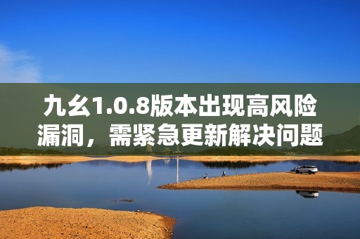 九幺1.0.8版本出现高风险漏洞，需紧急更新解决问题