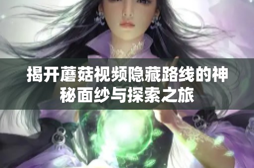 揭开蘑菇视频隐藏路线的神秘面纱与探索之旅