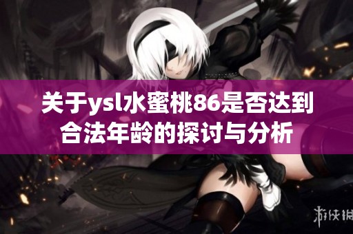 关于ysl水蜜桃86是否达到合法年龄的探讨与分析