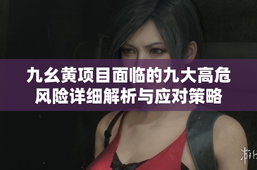 九幺黄项目面临的九大高危风险详细解析与应对策略