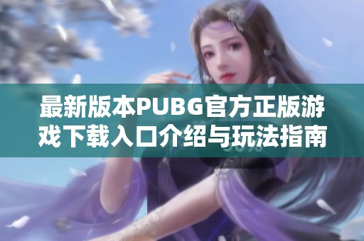 最新版本PUBG官方正版游戏下载入口介绍与玩法指南