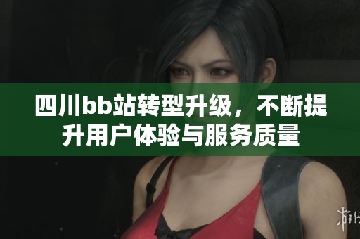 四川bb站转型升级，不断提升用户体验与服务质量