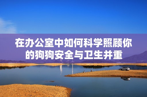 在办公室中如何科学照顾你的狗狗安全与卫生并重