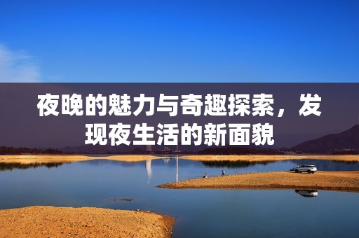 夜晚的魅力与奇趣探索，发现夜生活的新面貌