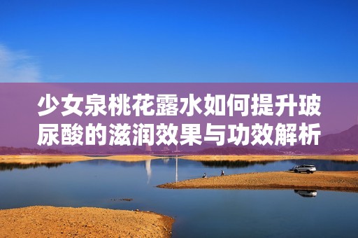 少女泉桃花露水如何提升玻尿酸的滋润效果与功效解析