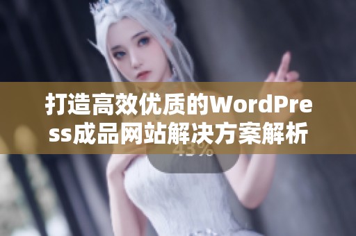 打造高效优质的WordPress成品网站解决方案解析