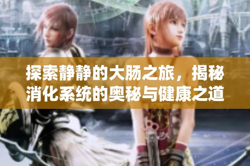 探索静静的大肠之旅，揭秘消化系统的奥秘与健康之道