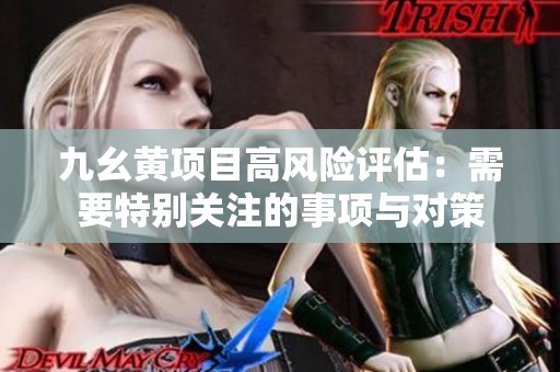 九幺黄项目高风险评估：需要特别关注的事项与对策
