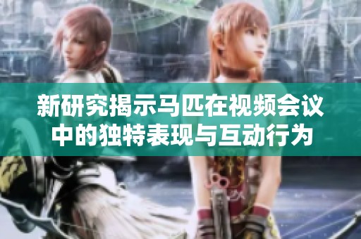 新研究揭示马匹在视频会议中的独特表现与互动行为